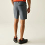 Pánské kraťasy Regatta Xert Stretch Shorts