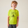Dětské triko Dare 2b Amuse III Tee Frgle Sprout