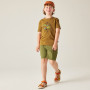 Dětské triko Dare 2b Trailbazer III Tee Dark Cumin