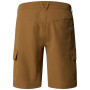 Pánské kraťasy The North Face Horizon Short - Eu