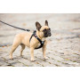 Vodítko na psa Curli Adjustable Leash Nylon