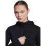 Dámská funkční mikina Icebreaker Women Merino Blend 200 RealFleece™ Descender LS Zip Hoodie