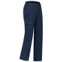 Pánské kalhoty Dare 2b Baseplate Insulated Pant
