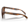 Sluneční brýle Oakley Frogskin Prizm Tungsten