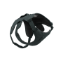 Postroj pro psa Ruffwear Web Master™ Harness