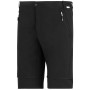 Pánské kraťasy Regatta Mountain Z/O Trousers