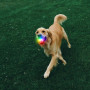 Hračka pro psa Nite Ize Glowstreak Rechargeable Led Ball