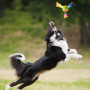 Hračka pro psa Nerf Dog Color Grip Tri Flyer 20 cm