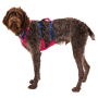 Postroj pro psa Ruffwear Flagline™ Harness