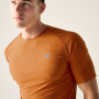 Pánské triko Dare 2b Power Up Tee