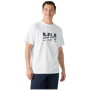 Pánské triko Helly Hansen Core Graphic T 2.0