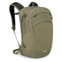 Barva: olive
