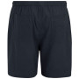 Pánské kraťasy Regatta Hadlin Shorts