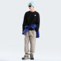 Pánská mikina The North Face M Evolution Box Nse Regular Crew