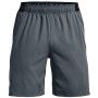 Pánské kraťasy Under Armour Vanish Woven Shorts