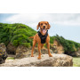 Postroj pro psa Mountain Paws Dog Harness