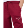 Dětské tepláky 4F Trousers Cas F1777 Burgundy