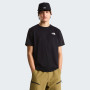 Pánské triko The North Face M Evolution Box Nse Regular Short Sleeve