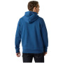 Pánská mikina Helly Hansen HH Logo Hoodie