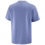 Pánské triko Salomon Wild Rays Label SS Tee