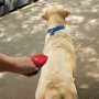 Vodítko na psa Nite Ize RadDog™ Retractable Pocket Leash
