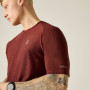 Pánské triko Dare 2b Power Up Tee