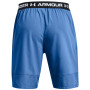 Pánské kraťasy Under Armour Vanish Woven Shorts