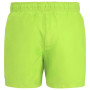 Pánské plavky Regatta Mawson Swim Shorts III