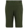 Pánské kraťasy Regatta Highton Shorts Long II