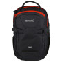 Batoh Regatta Paladen II 25L