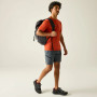 Pánské kraťasy Regatta Xert Stretch Shorts
