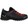 Pánské boty Salewa Wildfire 2 Gtx M