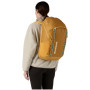 Batoh Patagonia Black Hole Pack 32L
