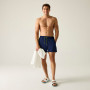 Pánské plavky Regatta Mawson Swim Shorts III