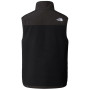 Pánská vesta The North Face M Retro Denali Vest