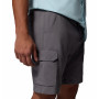 Pánské kraťasy Columbia Silver Ridge™ Utility Cargo Short
