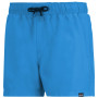 Pánské plavky Regatta Mawson Swim Shorts III