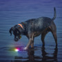 Hračka pro psa Nite Ize Glowstreak LED Ball