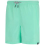 Pánské kraťasy Regatta Mackleyna Swim Short