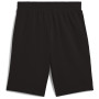 Pánské kraťasy Puma Ess 2 Color Logo Shorts