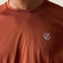 Pánské triko Dare 2b Accelerate Tee