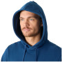 Pánská mikina Helly Hansen HH Logo Hoodie