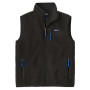 Pánská vesta Patagonia M's Retro Pile Vest