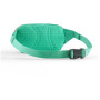 Ledvinka Patagonia Terravia Mini Hip Pack