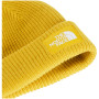 Čepice The North Face Salty Lined Beanie