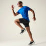 Pánské triko Dare 2b Accelerate Tee