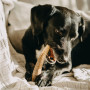 Hračka pro psa Explorer Dog Žvýkací jelení paroh M