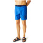 Pánské plavky Regatta Bentham swim short