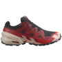 Pánské běžecké boty Salomon Speedcross 6 Gore-Tex