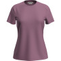 Dámské funkční triko Icebreaker Women Merino 150 Tech Lite III SS Tee